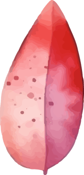 watercolor abstract stain png