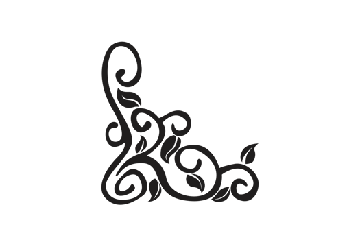 Flora Ornament Border With Design With Transparent Background png