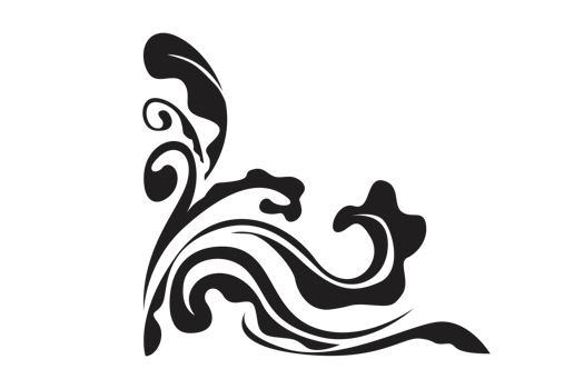 Flora Ornament Border With Design With Transparent Background png