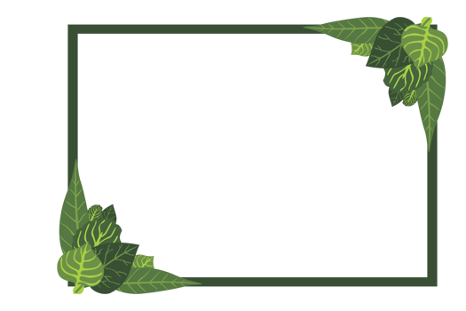 Flora Ornament Border With Design With Transparent Background png