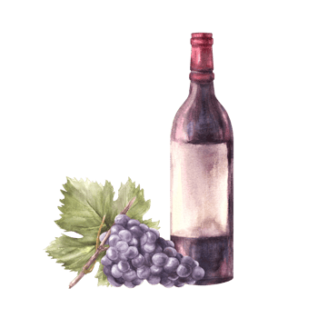 A bottle of red wine with grapevine and grape leaf. Watercolour hand draw food illustration. Wine making set for your design print of label sticker, flyers, menu, wine list, card png