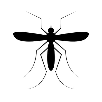 Mosquito silhouette icon. Malaria. Vector. vector