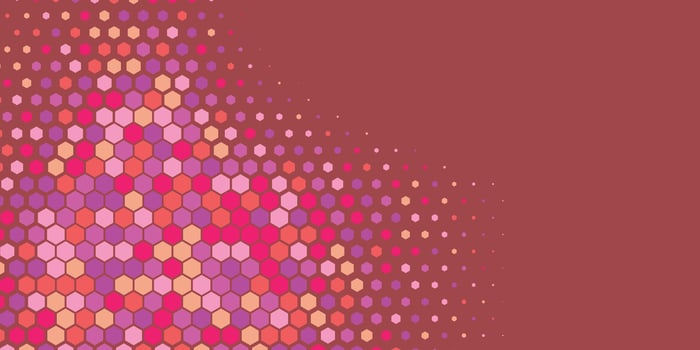 Geometric abstract Hexagon Two Color Background vector
