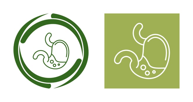 Stomach Vector Icon