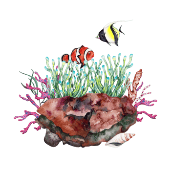 Two tropical fishes near anemone growing over reef rock with corals and seaweed. Hand drawn watercolor illustration. Tropical underwater collection. png