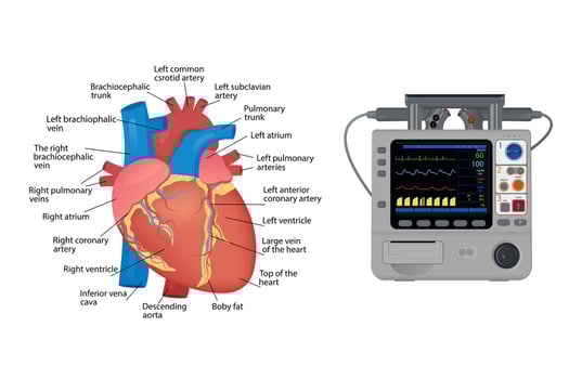 Anatomy of the human heart. Electrocardiographic patient monitoring - medical device, for poster vector