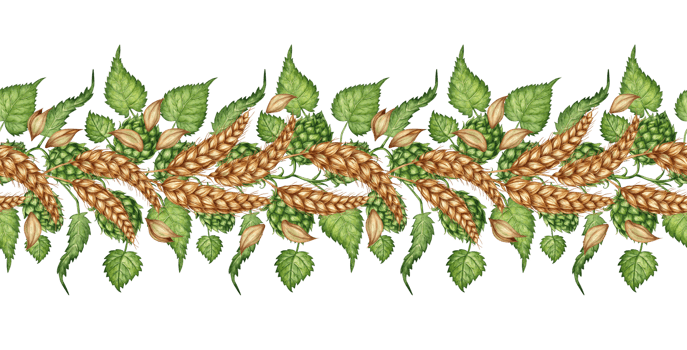 Watercolor illustration of a pattern horizontal of ripe wheat cobs, dried stalks, grains, and a branch of fresh green hops isolated. Design element for advertising, beer festival, packaging, png
