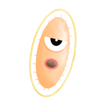 virus bacteria germ png
