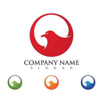 Falcon Logo Template vector