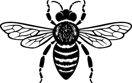 Bee, Black and White Vector illustration