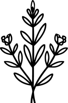 Lavender - Black and White Isolated Icon - Vector illustration