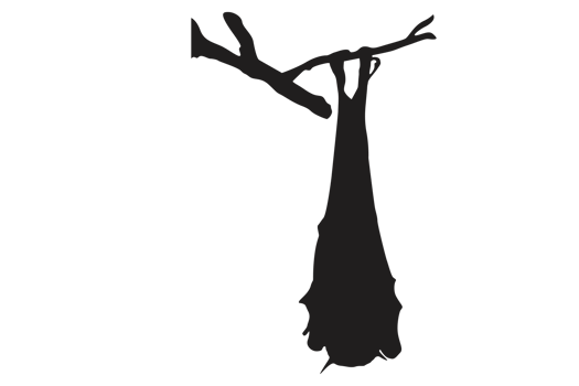 Pose of Bat Silhouette with Transparent Background png