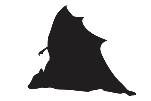 Pose of Bat Silhouette with Transparent Background png