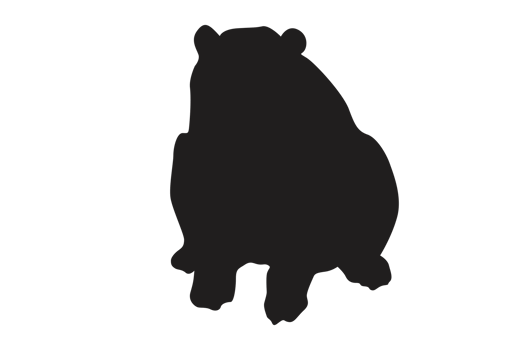Pose of Bear Silhouette with Transparent Background png