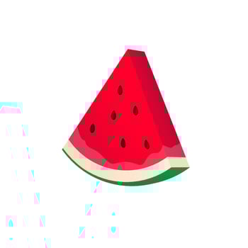 Watermelon graphic illustration vector