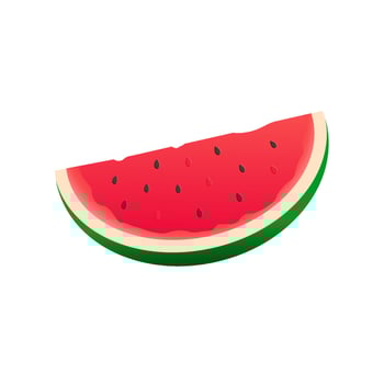 Watermelon graphic illustration vector