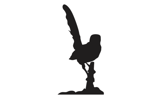 pose of a bird perched on a twig silhouette with a transparent background png