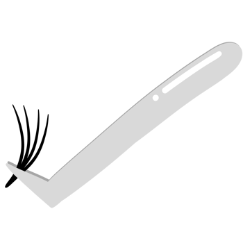 Eyelash, Lash extension, Lashes png