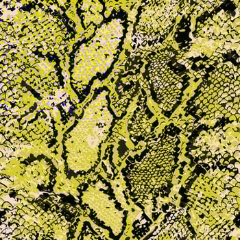 snake skin texture seamless pattern design vector