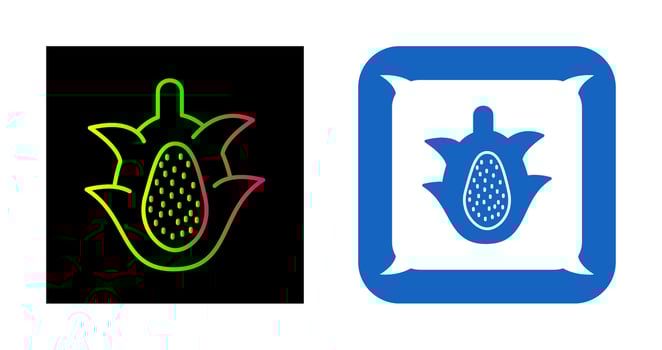 Dragon Fruit Vector Icon