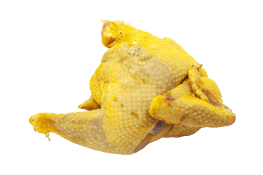 piece of capon png