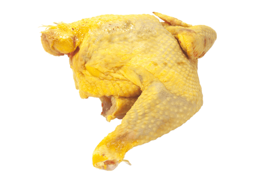 piece of capon png