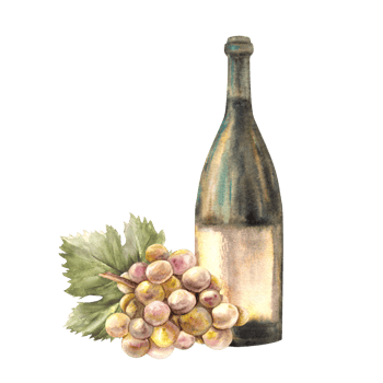A bottle of white wine with bunch of grapes and grapevine Watercolour hand draw food illustration. Wine making set for design of flyers, drink menu, wine list, label, sticker print png