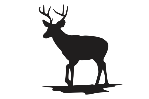 Pose Of Deer Silhouette With Transparent Background png