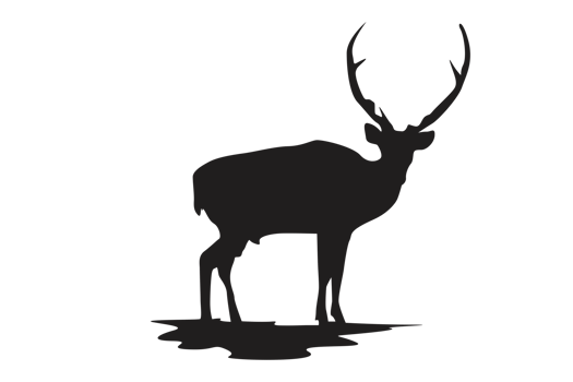 Pose Of Deer Silhouette With Transparent Background png