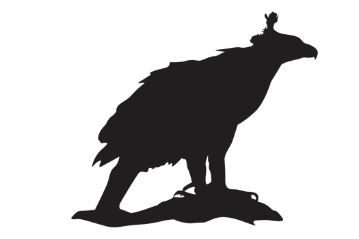 Pose Of Eagle Silhouette With Transparent Background png