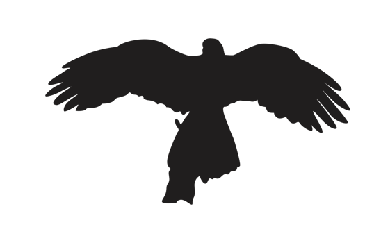 Pose Of Eagle Silhouette With Transparent Background png
