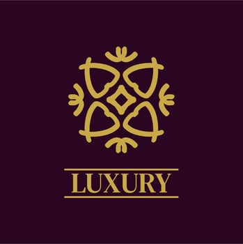 Mandala Geometric ornament logo Elegant premium icon vector design