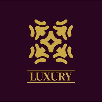 Mandala Geometric ornament logo Elegant premium icon vector design
