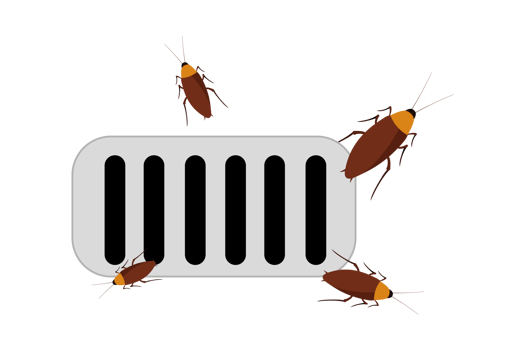 drain. wallpaper. free space for text. copy space. cockroach. png