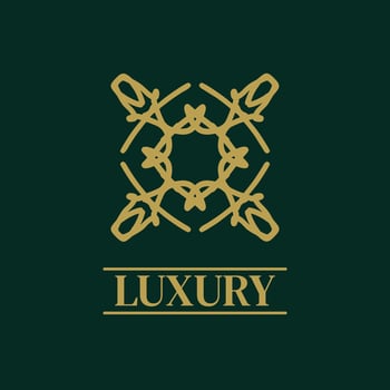 Mandala Geometric ornament logo Elegant premium icon vector design