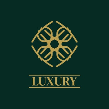 Mandala Geometric ornament logo Elegant premium icon vector design