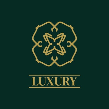 Mandala Geometric ornament logo Elegant premium icon vector design
