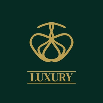 Mandala Geometric ornament logo Elegant premium icon vector design