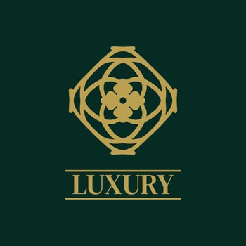 Mandala Geometric ornament logo Elegant premium icon vector design