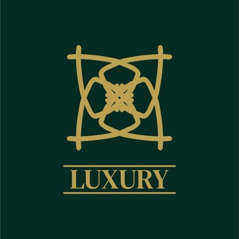 Mandala Geometric ornament logo Elegant premium icon vector design