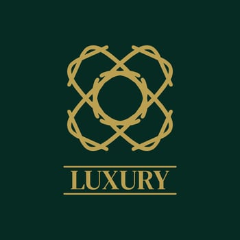 Mandala Geometric ornament logo Elegant premium icon vector design