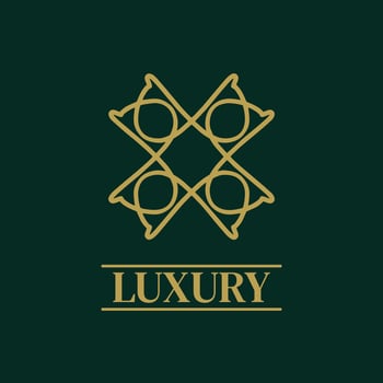 Mandala Geometric ornament logo Elegant premium icon vector design