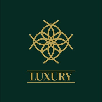 Mandala Geometric ornament logo Elegant premium icon vector design