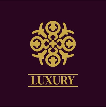 Mandala Geometric ornament logo Elegant premium icon vector design