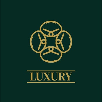 Mandala Geometric ornament logo Elegant premium icon vector design