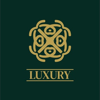 Mandala Geometric ornament logo Elegant premium icon vector design