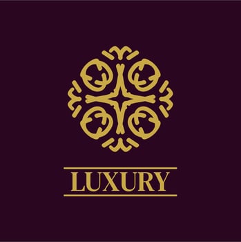 Mandala Geometric ornament logo Elegant premium icon vector design