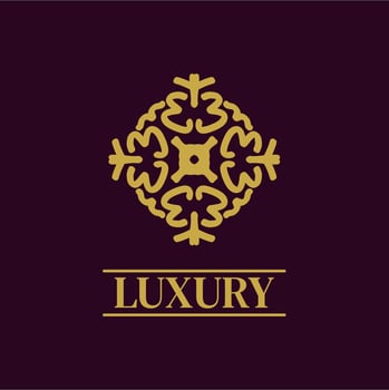 Mandala Geometric ornament logo Elegant premium icon vector design