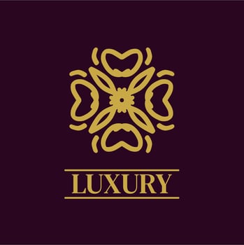 Mandala Geometric ornament logo Elegant premium icon vector design