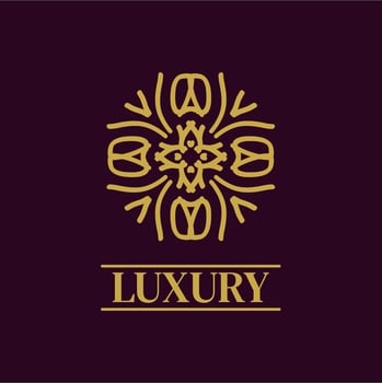 Mandala Geometric ornament logo Elegant premium icon vector design